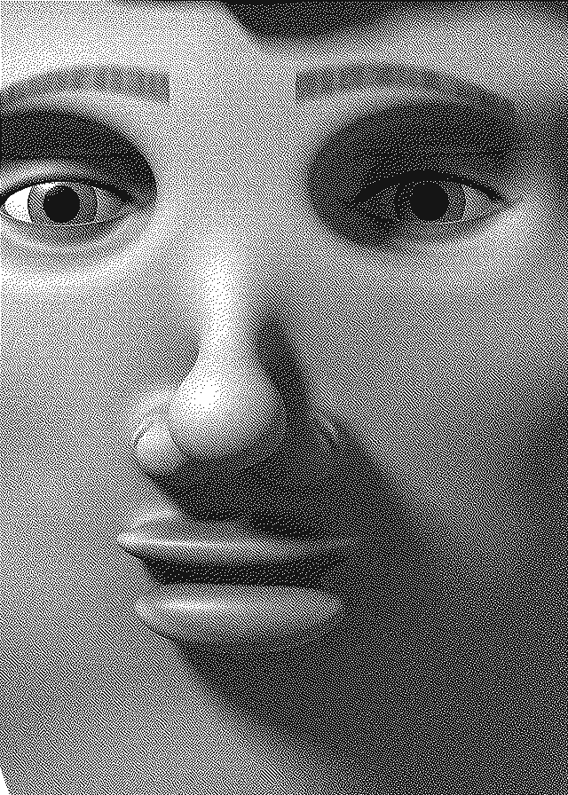 Close-up dithered portrait of Subscriber Seb